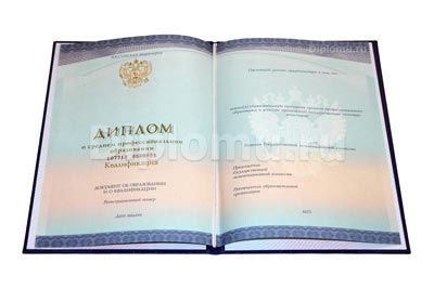 купить диплом технического ссуза